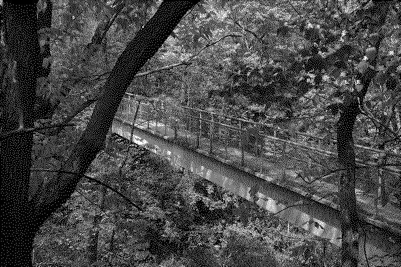 dsc06331_web