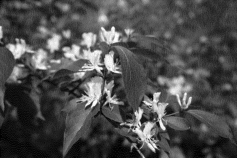 dsc06350_web