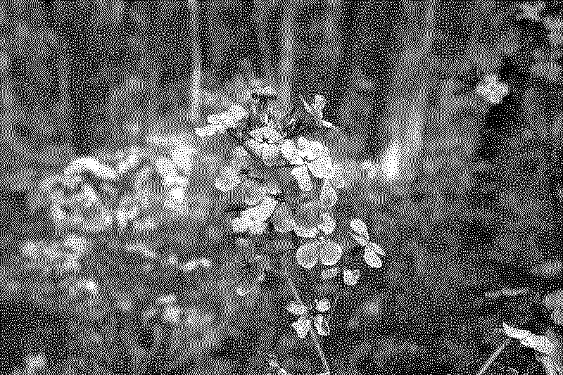 dsc06353_web