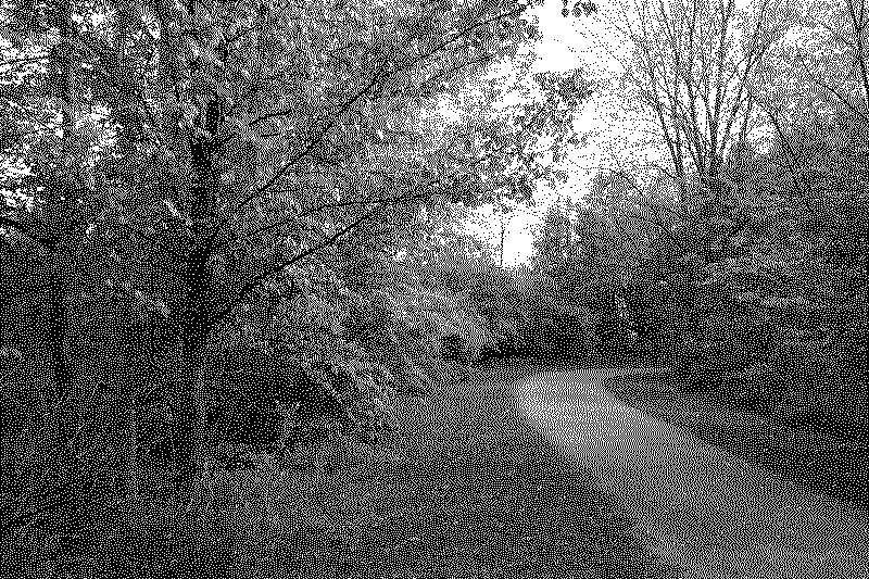dsc06358_web