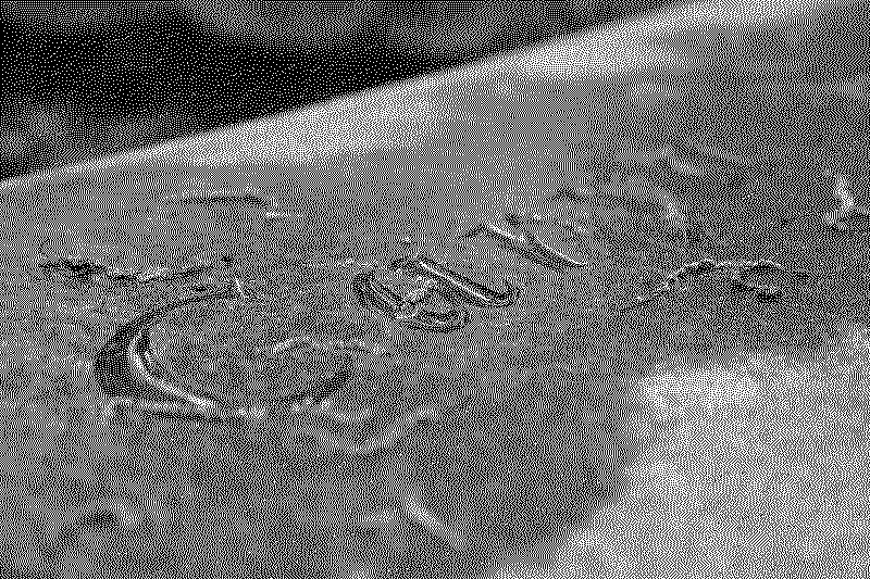 dsc06370_web