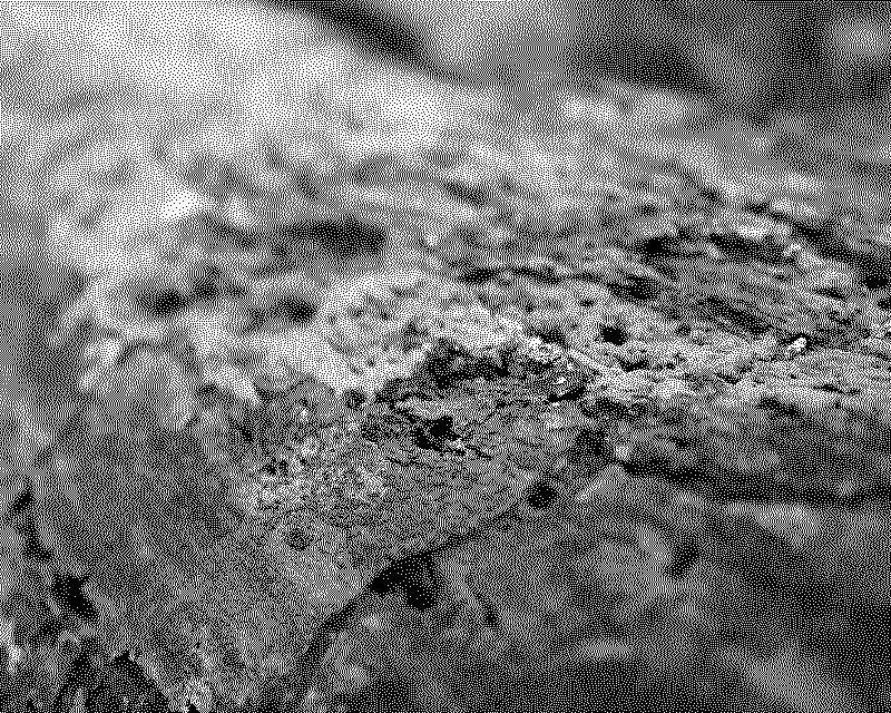 dsc06372_web