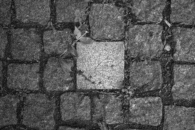 dsc06374_web