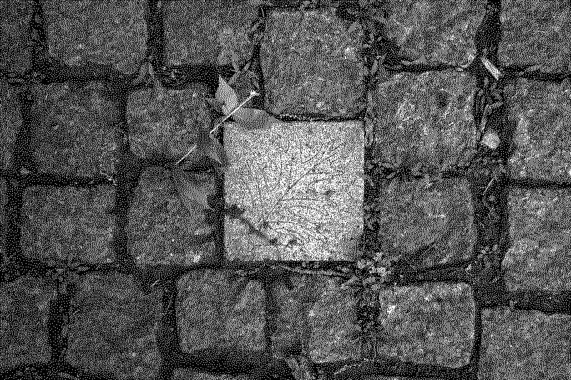 dsc06374_web