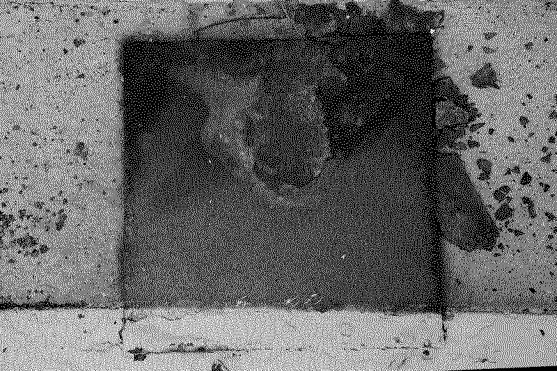 dsc06376_web