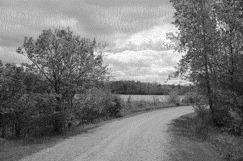 dsc06382_web