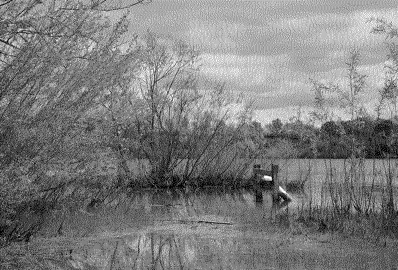 dsc06385_web