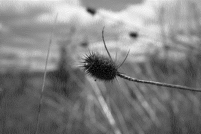 dsc06389_web