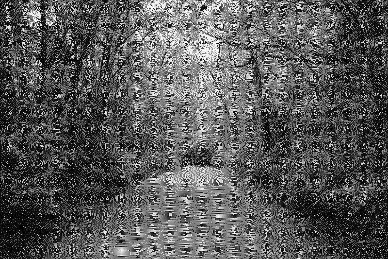 dsc06393_web