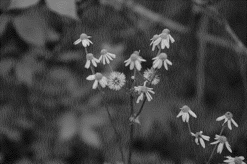 dsc06396_web