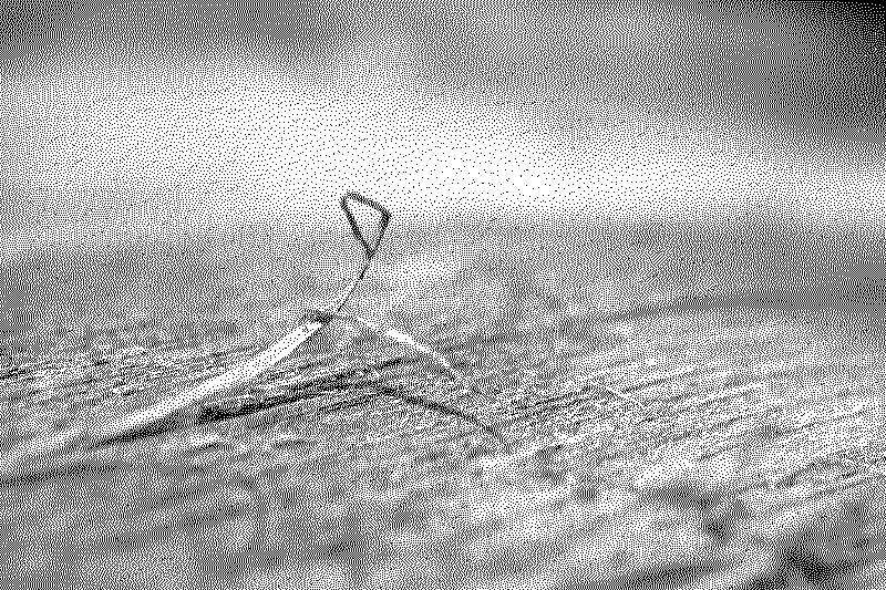 Macro shot of wood
