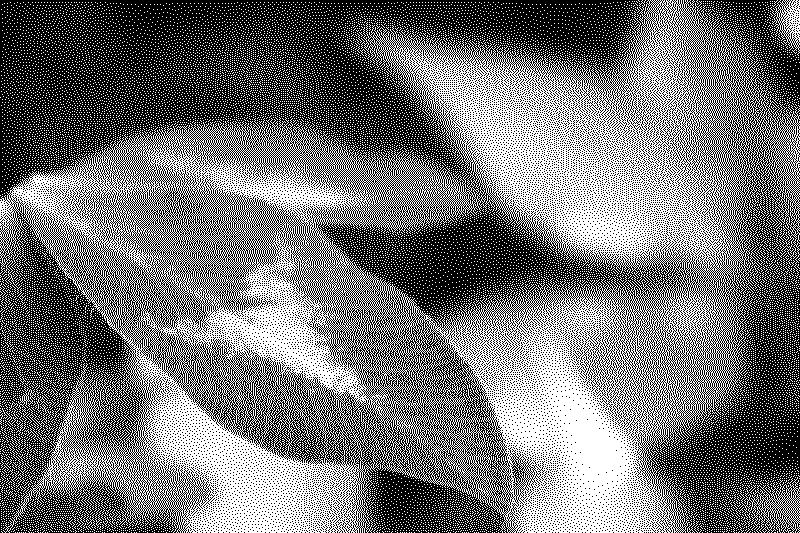 Macro of a leaf with a arrow pattern on it