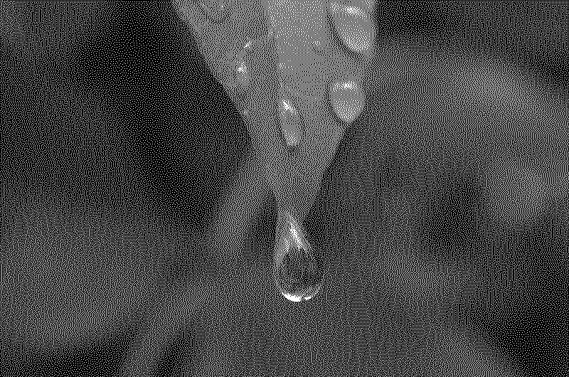 Leaf with a raindrop on it
