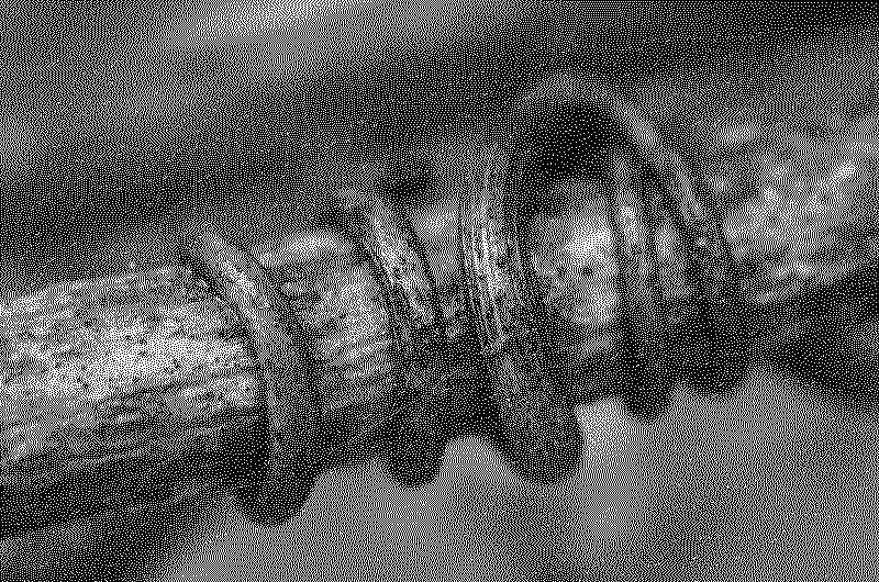 A branch