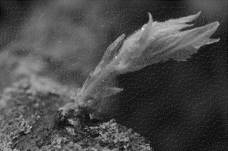 DSC_6158_web