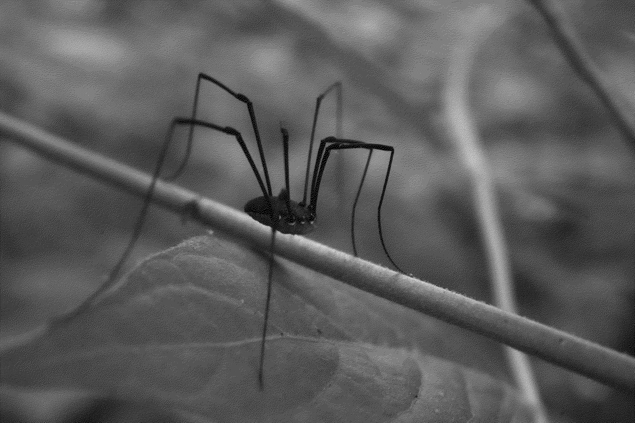 Daddy long legs on a stick