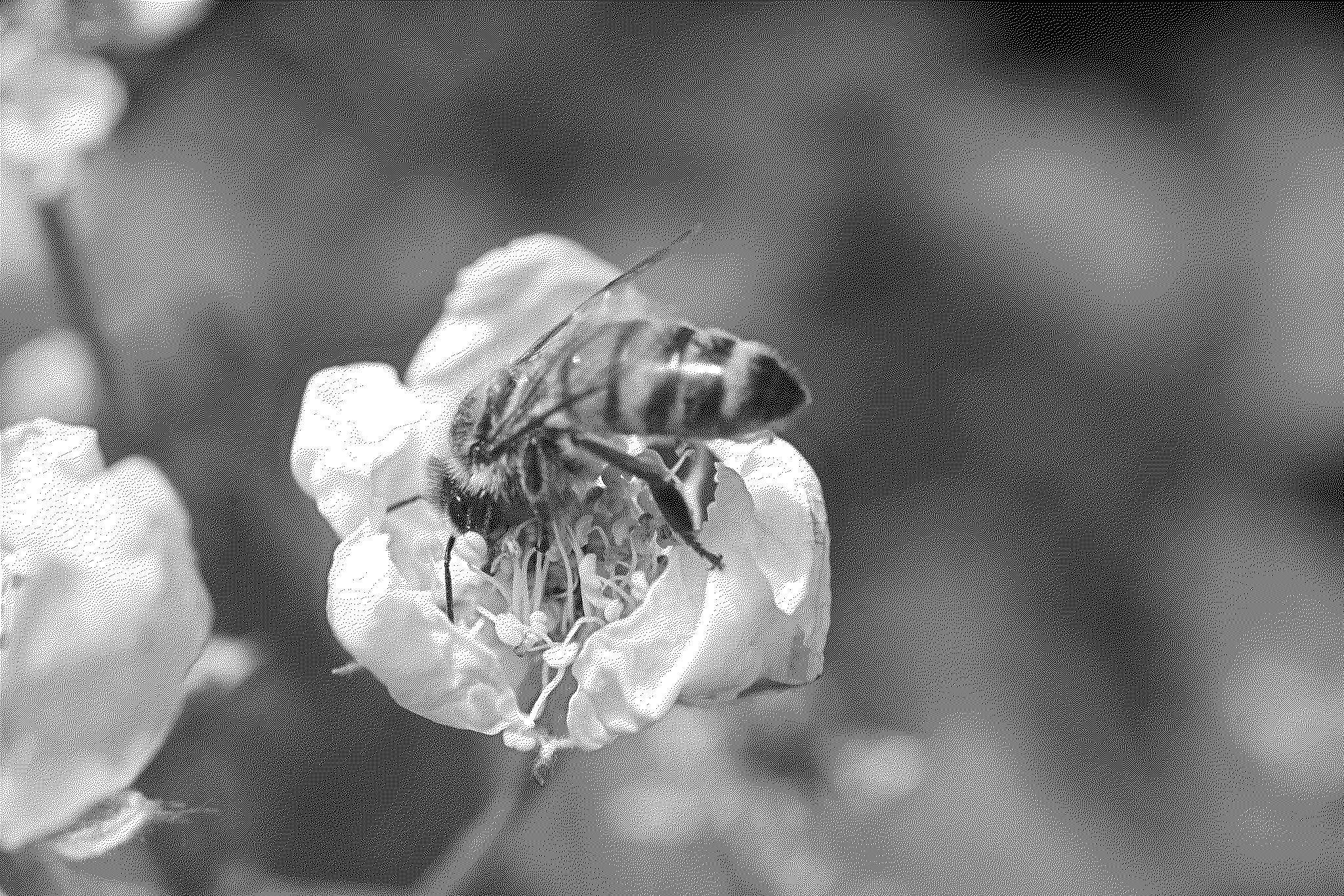 Bee getting pollen from a flower