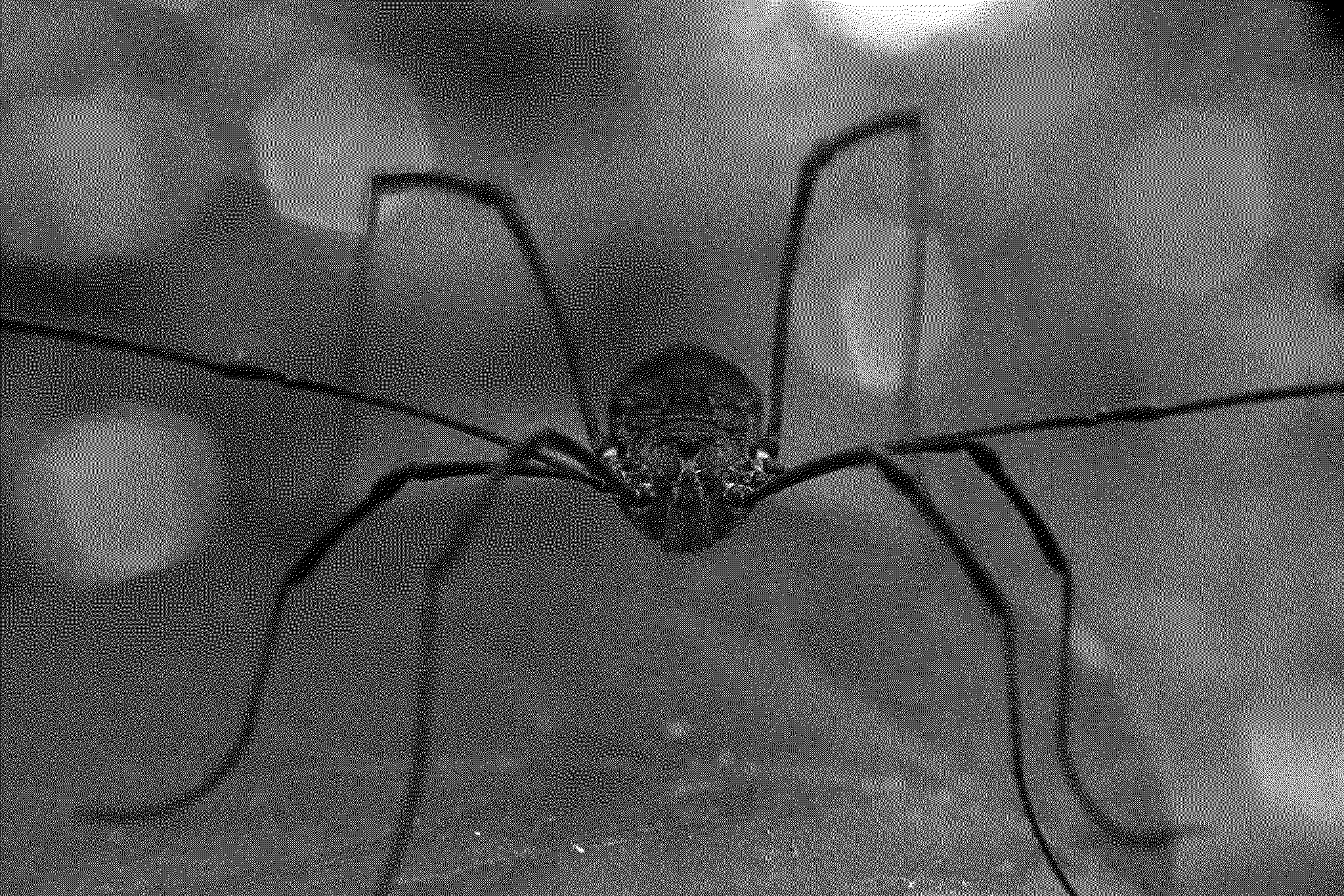 Daddy long legs with his arms in the air.