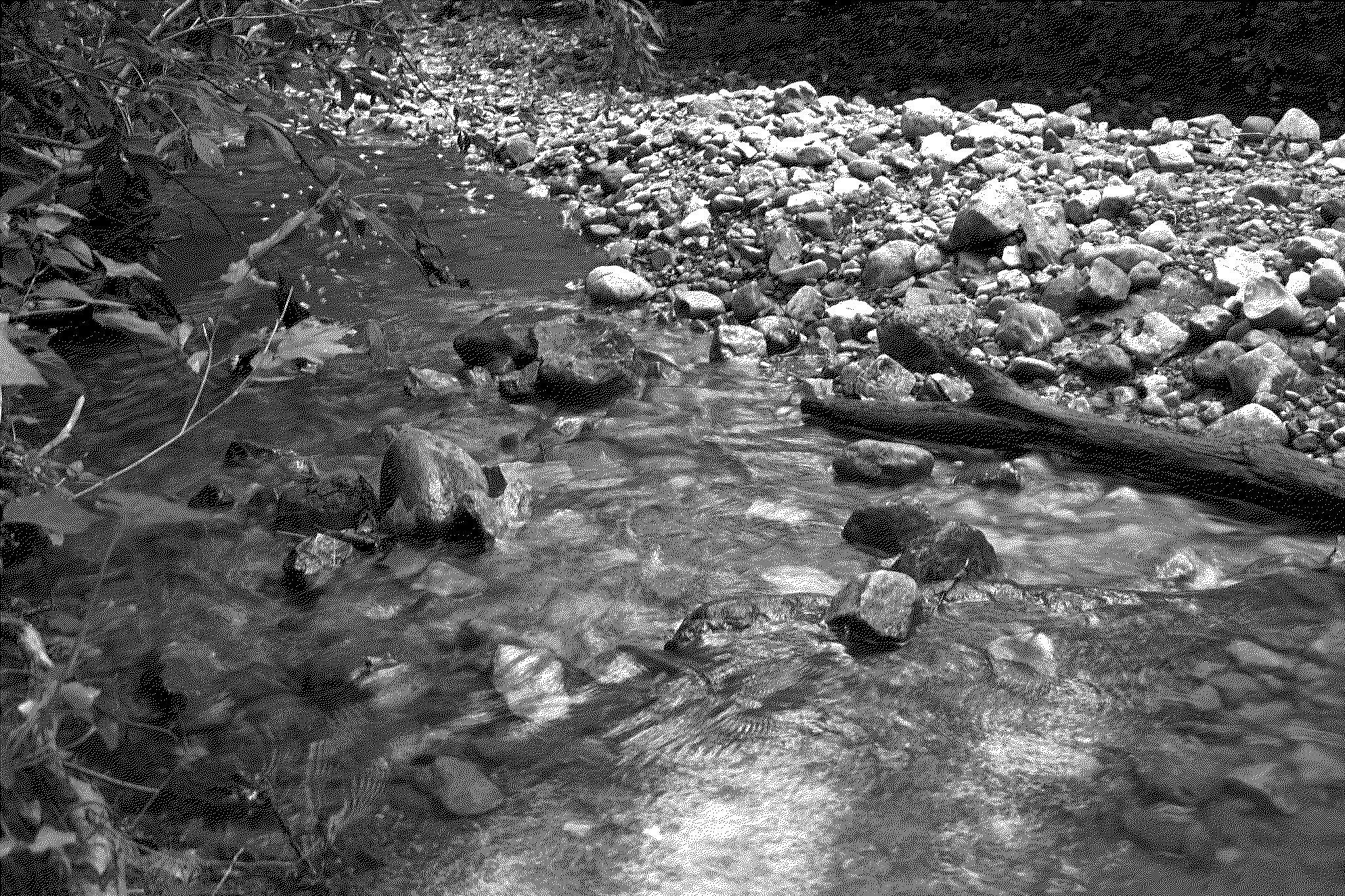 A creek running through the woods