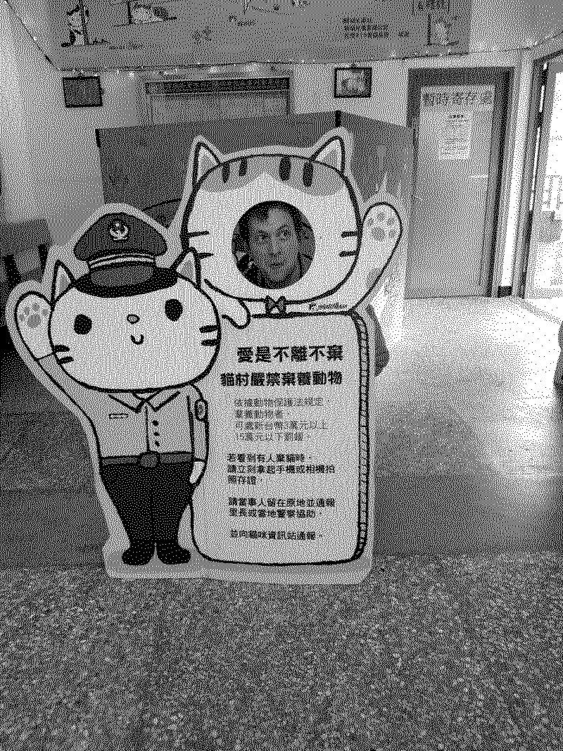 Cat village